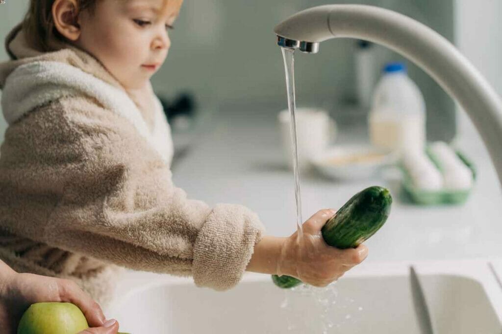 Tips for Maintaining a Kitchen Disposal